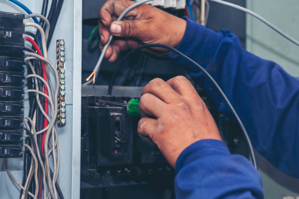 Best Affordable Electrician  in Hainesvle, IL